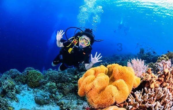 深度交流,来年轻人创业做什么生意好一些寻找答案